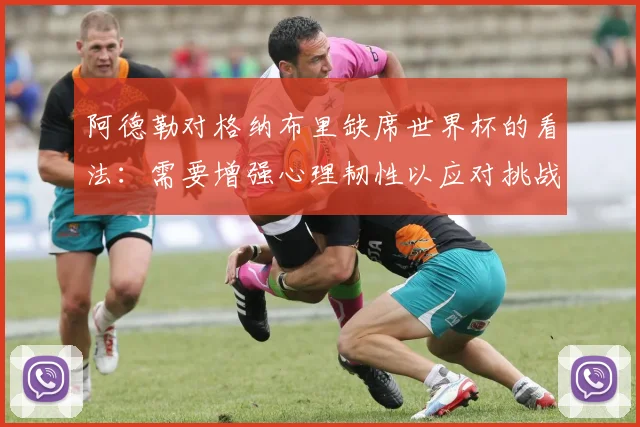 阿德勒对格纳布里缺席世界杯的看法：需要增强心理韧性以应对挑战