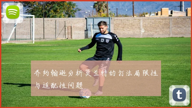 乔约翰逊分析莫兰特的打法局限性与适配性问题